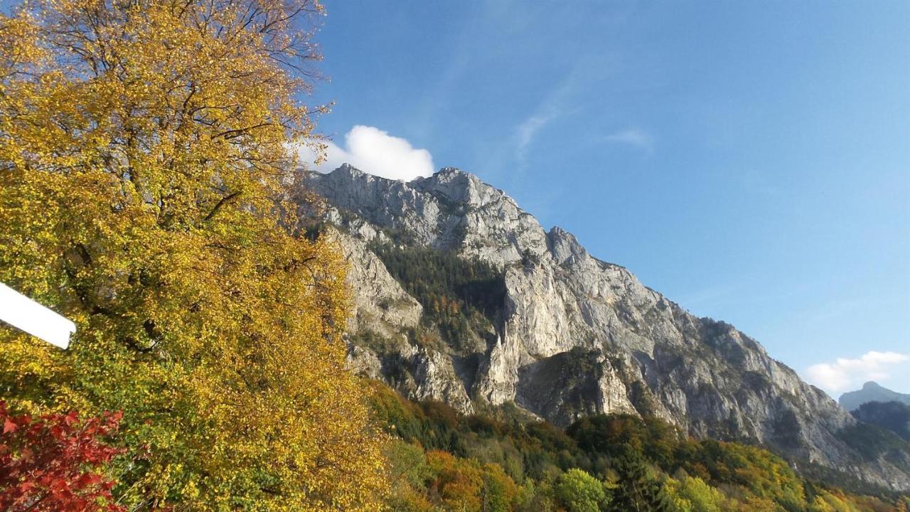 Wolfis Traunseeblick - Mit Kostenlosem Parkplatz Direkt An Der Unterkunft Гмунден Екстер'єр фото